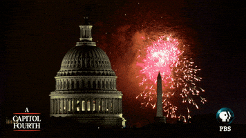 每日GIF(2021-07-05)的gif-Independence Day Fireworks GIF by PBS