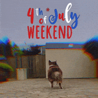 每日GIF(2021-07-05)的gif-4Th Of July Dog GIF by Yevbel