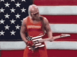 每日GIF(2021-07-05)的gif-independence day usa GIF