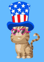 每日GIF(2021-07-05)的gif-Independence Day Cat GIF by Bill Greenhead