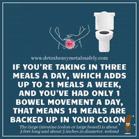 每日GIF(2021-07-05)的gif-Health Eating GIF by detoxheavymetalssafely