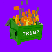 每日GIF(2021-07-07)的gif-Donald Trump Fire GIF by Creative Courage