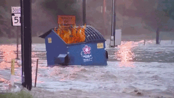 每日GIF(2021-07-07)的gif-Flood Dumpster GIF