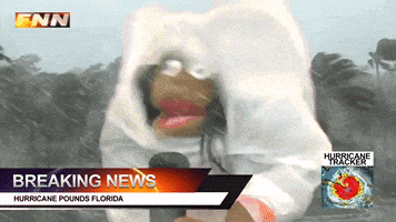 每日GIF(2021-07-07)的gif-fail how are you GIF by Fluffy Friends