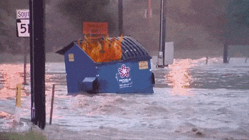 每日GIF(2021-07-07)的gif-Dumpster Fire GIF by MOODMAN