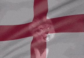 每日GIF(2021-07-08)的gif-Three Lions Football GIF