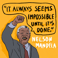 每日GIF(2021-07-08)的gif-Black Lives Matter Freedom GIF by INTO ACTION