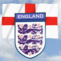 每日GIF(2021-07-08)的gif-Euro 2020 Football GIF
