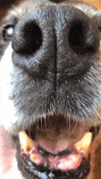 每日GIF(2021-07-10)的gif
