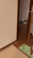 每日GIF(2021-07-10)的gif-GIF by JustViral