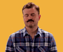 每日GIF(2021-07-11)的gif-Super Troopers Smh GIF by Searchlight Pictures
