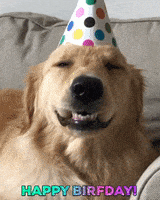 每日GIF(2021-07-12)的gif-Happy Birthday Puppy GIF