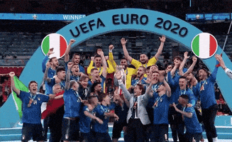 每日GIF(2021-07-12)的gif-Euro Cup Football GIF