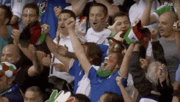 每日GIF(2021-07-12)的gif-Euro 2012 Sport GIF by UEFA