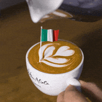 每日GIF(2021-07-12)的gif-National Day Italy GIF by Dritan Alsela Coffee