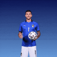 每日GIF(2021-07-12)的gif-Euro 2020 Football GIF by UEFA