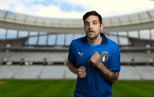 每日GIF(2021-07-12)的gif-No Way Football GIF by Jake Martella