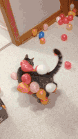 每日GIF(2021-07-13)的gif