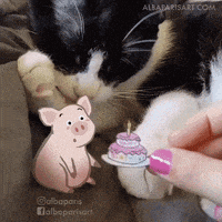 每日GIF(2021-07-13)的gif-Happy Birthday Cat GIF by Alba Paris