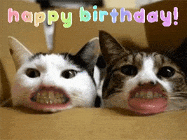每日GIF(2021-07-16)的gif-Happy Birthday GIF by moodman