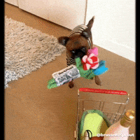 每日GIF(2021-07-16)的gif-Happy Birthday Hello GIF