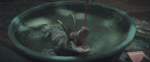 每日GIF(2021-07-16)的gif-Marvel Loki GIF by Nerdist.com