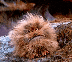 每日GIF(2021-07-18)的gif-Big Mouth Lol GIF by MOODMAN