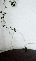 每日GIF(2021-07-20)的gif-Water Glass Birthday GIF