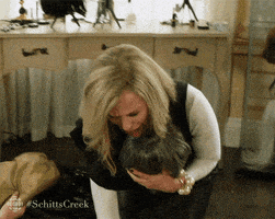 每日GIF(2021-07-25)的gif-schitts creek no GIF by CBC