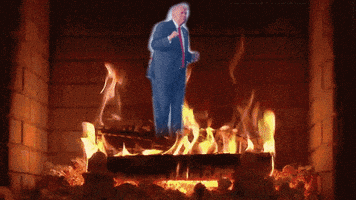 每日GIF(2021-07-25)的gif-Bye Bye Trump GIF by Jess Mac