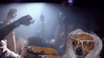 每日GIF(2021-07-25)的gif-Night Out Dancing GIF by Cameo