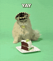 每日GIF(2021-07-27)的gif-happy birthday GIF by Wetpaint