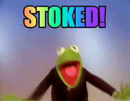 每日GIF(2021-07-27)的gif-stoked kermit GIF