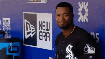 每日GIF(2021-07-31)的gif-Regular Season Hello GIF by MLB