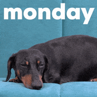 每日GIF(2021-08-02)的gif-Monday Morning GIF by GIPHY Studios Originals