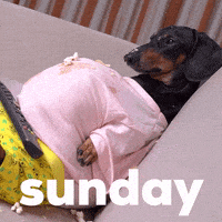每日GIF(2021-08-02)的gif-Happy Sunday GIF by GIPHY Studios Originals