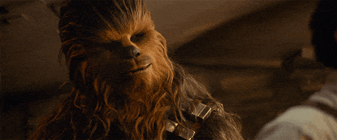 每日GIF(2021-08-02)的gif-Chewie The Rise Of Skywalker GIF by Star Wars