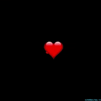 每日GIF(2021-08-02)的gif-Thank U GIF by echilibrultau