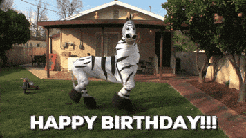 每日GIF(2021-08-04)的gif-Happy Birthday GIF