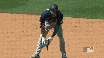 每日GIF(2021-08-04)的gif-Regular Season Sport GIF by MLB