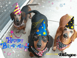 每日GIF(2021-08-05)的gif-happy birthday GIF