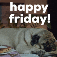 每日GIF(2021-08-07)的gif-Its Friday Dog GIF by GIPHY Studios Originals
