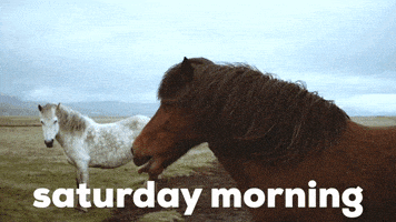 每日GIF(2021-08-08)的gif-Saturday Morning GIF by GIPHY Studios Originals