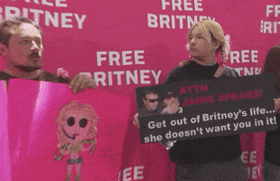 每日GIF(2021-08-13)的gif-Rally Freebritney GIF by GIPHY News