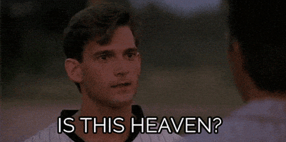 每日GIF(2021-08-13)的gif-Field of Dreams baseball GIF