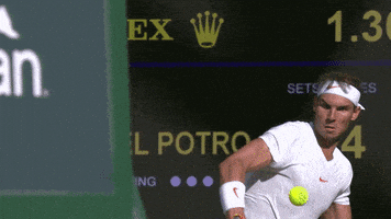 每日GIF(2021-08-14)的gif-Left Handed Tennis GIF by Wimbledon