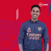 每日GIF(2021-08-14)的gif-Premier League Football GIF by BT Sport