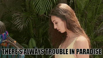 每日GIF(2021-08-17)的gif-season 5 abc GIF by Bachelor in Paradise