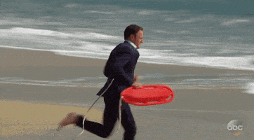每日GIF(2021-08-17)的gif-Season 4 Abc GIF by Bachelor in Paradise