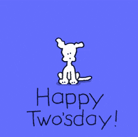 每日GIF(2021-08-18)的gif-Dogs Love GIF by Chippy the Dog